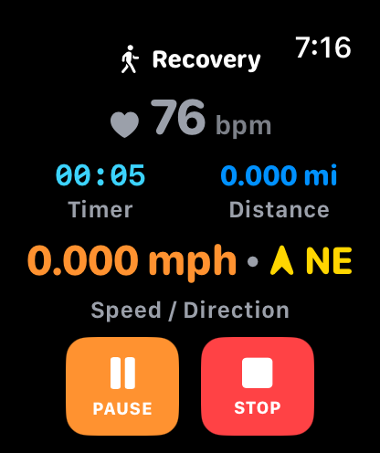 Actual Kinisi heart recovery screen