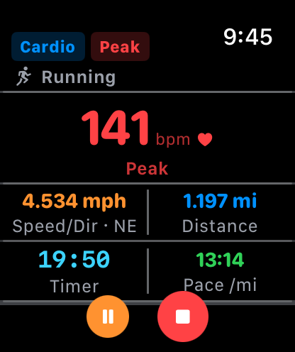 Actual Kinisi Apple Watch running screen